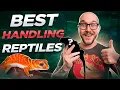 The Most Handleable Pet Reptiles No Bites Just Love