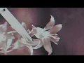 From First To Last - Your Name In Red Ink (Official Lyric Video)