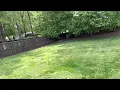 1612 Cedar Springs Circle - Backyard