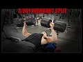 5 Day Split Routine Upper Lower Push Pull Legs HYBRID