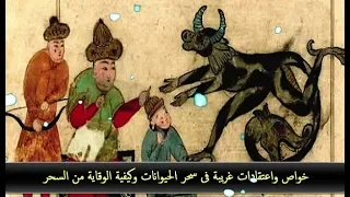 خواص واعتقادات غريبة فى سحر الحيوانات استخدمها السحرة قديما وكيفية الوقاية من السحر الجزء الثالث 