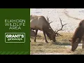 Eastern Oregon s Elkhorn Wildlife Area offers stunning views of nature and wildlife