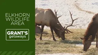 Eastern Oregon s Elkhorn Wildlife Area offers stunning views of nature and wildlife
