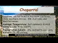 3 2 Chaparral