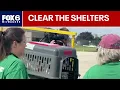 HAWS kicks off Clear the Shelters 2026 FOX6 News Milwaukee