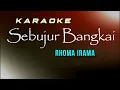 Download Lagu Sebujur Bangkai Karaoke Rhoma Irama