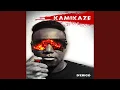Download Lagu Kamikaze