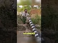 Download Lagu A 2000 Year Old Water Pump That Still Works Today