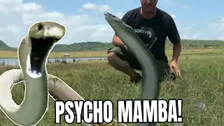 MASSIVE BLACK MAMBA GOES INTO FULL BLOWN ATTACK MODE!!!