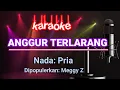 Download Lagu Anggur Terlarang - Karaoke | Meggi Z