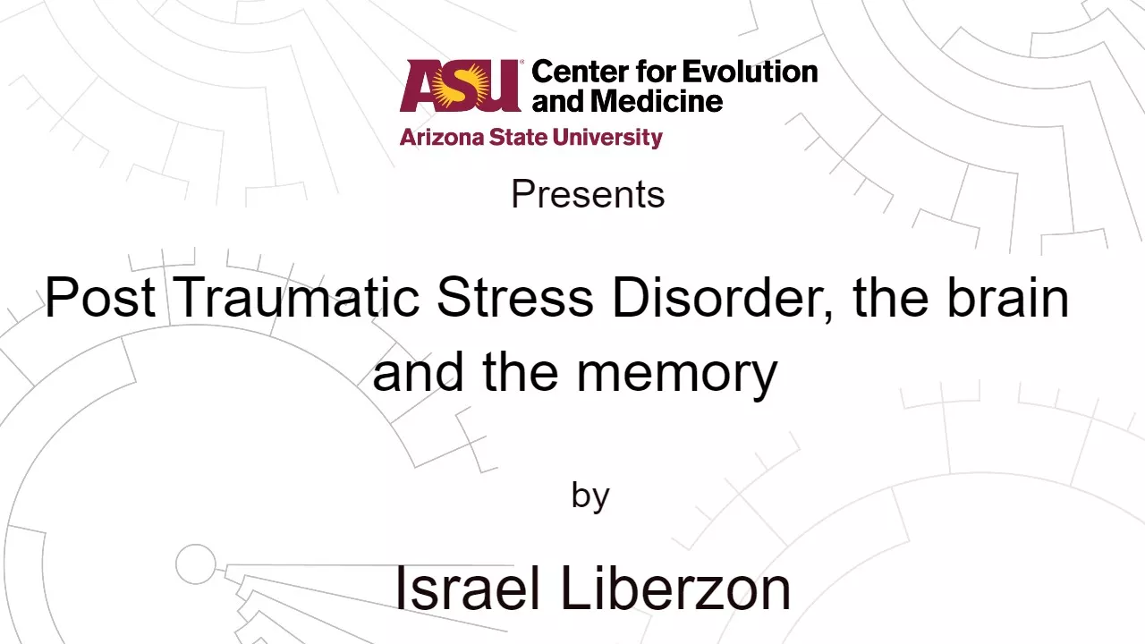 Post Traumatic Stress Disorder, The Brain and The Memory | Israel Liberzon