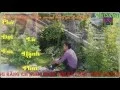 Download Lagu Chờ em là hạnh phúc [ FHD Sub+Kara ] - Cao Sỹ Hùng