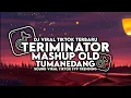 Download Lagu DJ TERMINATOR X MASHUP OLD X TUMANEDANG VIRAL TIKTOK TERBARU!!!