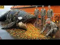 Download Lagu Rescue Team Saves Giant Orca Whale From Seashells, Algae \u0026 Stone Particles 🐋⚓️