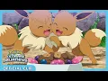 Download Lagu Alola Celebration Feast! | Pokémon Ultimate Journeys: The Series | Official Clip