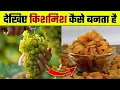 Download Lagu देखिए किशमिश कैसे बनता है | Kismis Kaise Banta hai | How Raisins are Made | How does Raisins Made