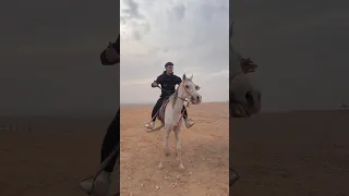 سرقنا الخيل من الصحراء Sohrts 