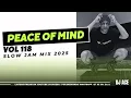 Download Lagu SLOW JAM MIX 2025 | PEACE OF MIND VOL 118 | DJ Ace ♠️