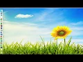 Krovitz Java Flowers Tutorial pt 1