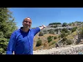 Download Lagu LIVE: Amazing Cedar Trees of JAJ. Walking Around the Protected Forest