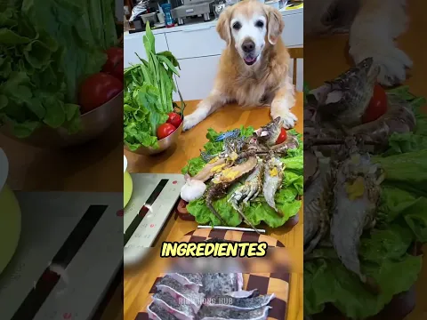 El Error De Este Papá Hizo Llorar A Todos 😭 #shorts