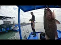 Download Lagu vlog#286 TRIP AIR BESAR ALHAMDULILLAH ADA HASILNYA#sangkarsgudang #fishing