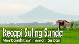kecapi suling sunda dangau ditengah sawah