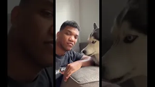 I Found My Dogs TICKLE SPOT 