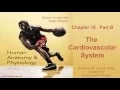 Anatomy and Physiology Chapter 18 Part B Lecture The Cardiovascular System