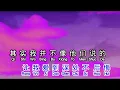 王馨平   别问我是谁 bie wen wo shi shui