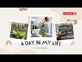 Aesthetic A DAY IN MY LIFE INTRO AND OUTRO. Free to use. No text.