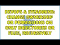 DevOps SysAdmins Change ownership or permissions on only directories or files recursively