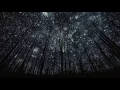 Jai Wolf -  StarLight Ft  Mr  Gabriel
