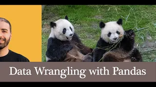 Complete Pandas Data Science Tutorial - Reading CSV Missing Values Filtering Groupby Plotting