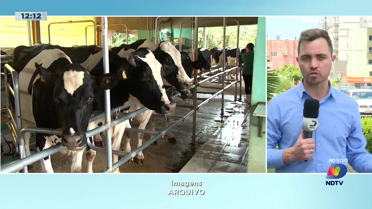 Presidente assina decreto que deve fortalecer a cadeia do leite