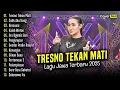 Download Lagu Yeni Inka  Ful album Tresno Tekan Mati tanpa iklan (Dangdut Koplo) Vlog Elf