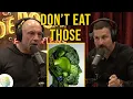 Eat like a pro - Joe Rogan Andrew Huberman