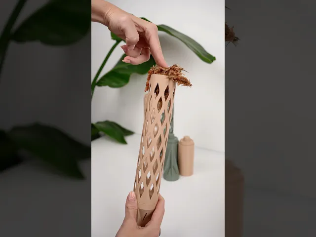 MOSS BUDDY - Moss Pole Starter Pack video thumbnail