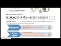 Photosynthesis Respiration Study Guide Review