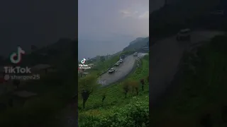 ايوب طارش صباح الخير 