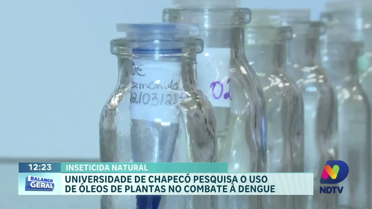 Alerta Dengue: Santa Catarina se Prepara para o Pico de Transmissão