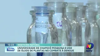 Alerta Dengue: Santa Catarina se Prepara para o Pico de Transmissão