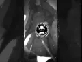 Download Lagu MEXICAN PHONK EKI (Super Slowed + Reverb)... #phonky #phonk #foryou