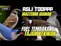 Lagu MASTERAN TERBAIK BURUNG LOMBA!! TEMBAKAN KASARAN - AUTO JUARA KALAU MATERI INI MASUK KE MURAI