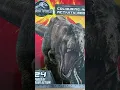 Jurassic World - Coloring Activity Book