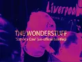 The Wonderstuff - The Size of a Cow 🇬🇧