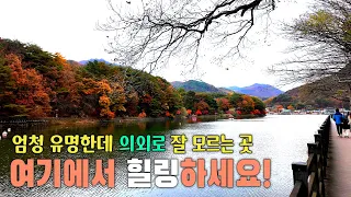 엄청 유명한데 의외로 사람들이 잘 모르는 곳, 그림같은 호수풍경을 따라가는 산책길! 2박3일에 2천원으로 가을을 느끼는 포천차박여행 / 산정호수와 명성산에서 힐링하세요 /포천여행 썸네일