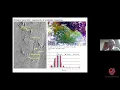Spatial remote sensing and social geography