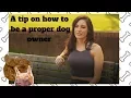how to be a proper dog owner