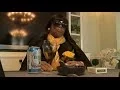 Dead Woman Parties At Her Own Funeral